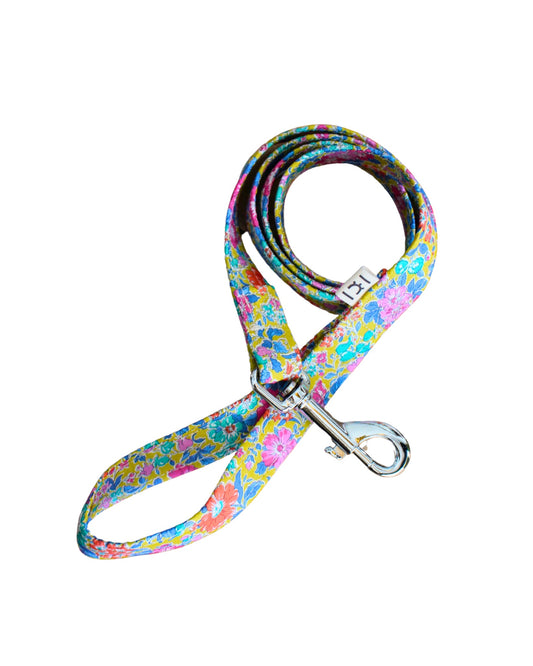 Correa para perro Liberty Clare Rich