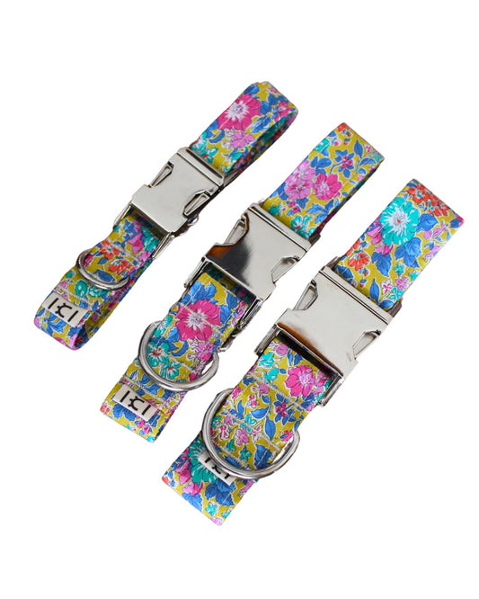 Collar para perro Liberty Clare Rich